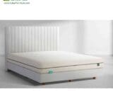Springbed Alga tipe Latex