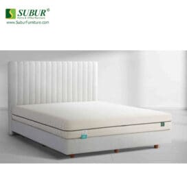 Springbed Alga tipe Latex