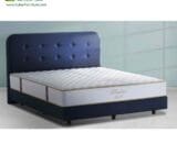 Springbed Alga tipe Thalita