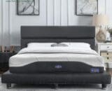 Springbed Sleep & Dream Mr Backbone (Mattres Only)