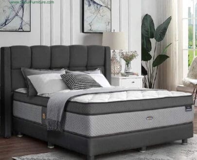 Springbed Sleep & Dream tipe Chiro Luxury (Mattres Only)