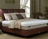 Springbed Dreamline tipe Exotic Firm (Mattres Only)