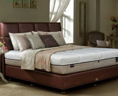 Springbed Dreamline tipe Exotic Firm (Mattres Only)