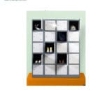 Locker Datascrip tipe LCTN4 B5