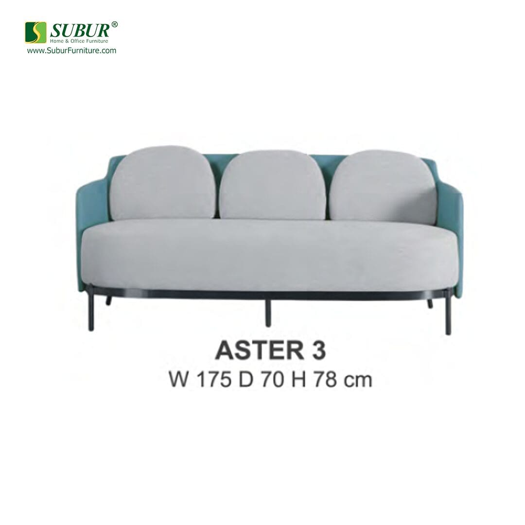 Sofa Donati type Aster 3
