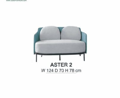 Sofa Donati type Aster 2