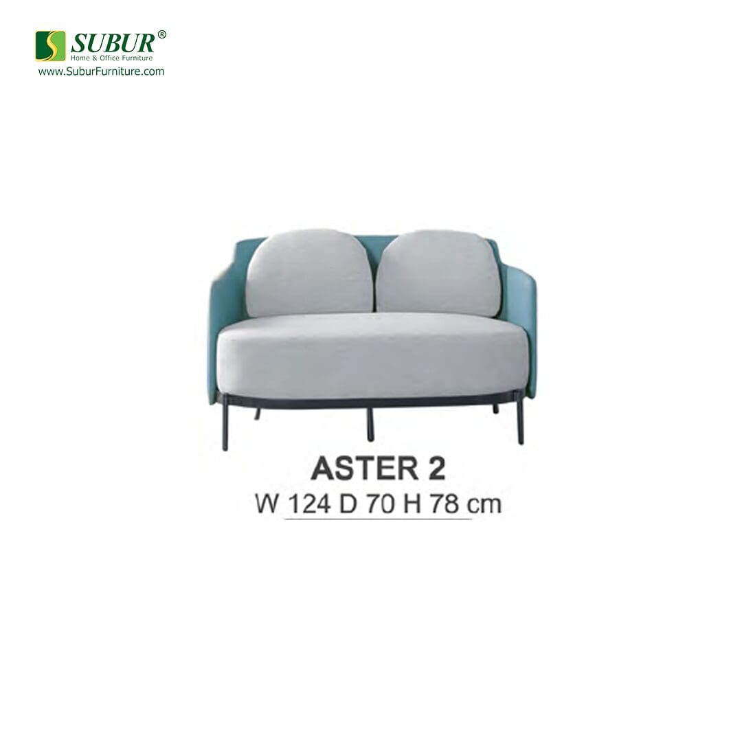 Sofa Donati type Aster 2