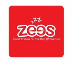 logo zees